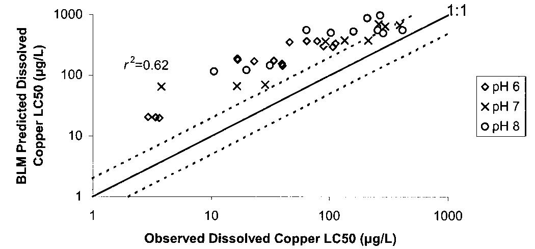 Fig. 4. Results of the biotic ligand model (BLM). Dotted lines rep- resent a factor of two in variability from a perfectly fit model. Median effective concentration (LC50) is as in Figure 1. Slope of the data is significantly different from a slope of one (p = 0.0002).  The BLM model was designed to predict acute copper tox- icity to fathead minnows over a wide range of water-quality characteristics. When the BLM was applied to this dataset, it underpredicted the toxicity of copper to larval fathead min- nows in our soft test water (Fig. 4). A similar trend in the BLM results was seen with the low-hardness dataset from VanGenderen et al. [26]. The slope of the data was significantly different from a slope of one (p = 0.0002), indicating that a sensitivity parameter is missing from the model. While our population of fish may have been more sensitive to copper than the population used to calibrate the BLM, itis more likely that the BLM does not accurately represent the interaction of copper and gill in very soft waters. Furthermore, the energy expenditure by organisms in very soft waters to maintain so- dium balances may make these organisms more susceptible to copper. The incorporation of a sodium-balance module in the BLM may make it more predictive in low-hardness waters. The cause of the underprediction by the BLM needs to be  