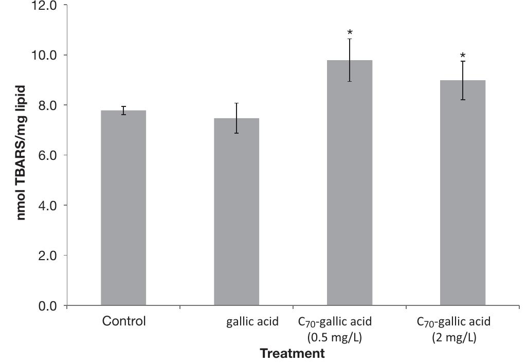 Fig. 5. Mean thiobarbituric acid-reactive species detected as relative to mass of lipid extracts (SD) of Daphnia magna exposed to C7o-gallic acid (Cyo-GA) in a 24-h static test (1=3). Treatments include moderately hard water control, GA, and nominal concentrations of C79-GA: 0.5 and 2 mg/L Co. *Significantly greater than control (p < 0.05). 