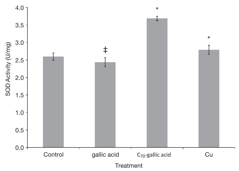 Fig. 6. Activity of superoxide dismutase (SOD) in D. magna juveniles exposed to gallic acid, C79-gallic acid (C79-GA), and Cu (n = 3). Values are expressed as mean + SD normalized to protein concentration. {Significantly less than control (p < 0.05). “Significantly greater than control (p < 0.05). 