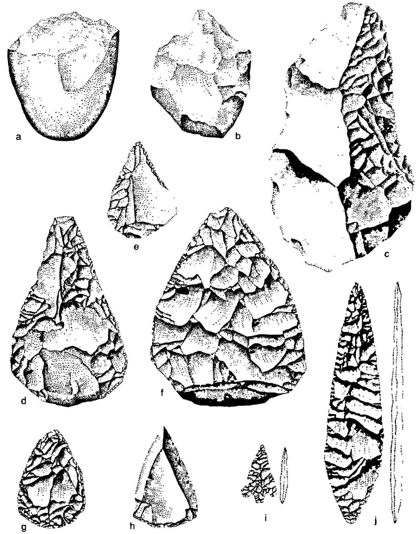 Evolution of hand tools: (a) one of the earliest chopping tools from Olduvai (b) prim- itive and (c) more evolved hand axes of the Abbevillian stage of Olduvai (d) middle Acheulean handaxe and (e) point (f) Mousterian handaxe and (g) point (h) Levallois point (i) Upper Palaeolithic tanged and barbed point (j) laurel leaf. 