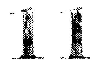 Scientific Research Programmes 