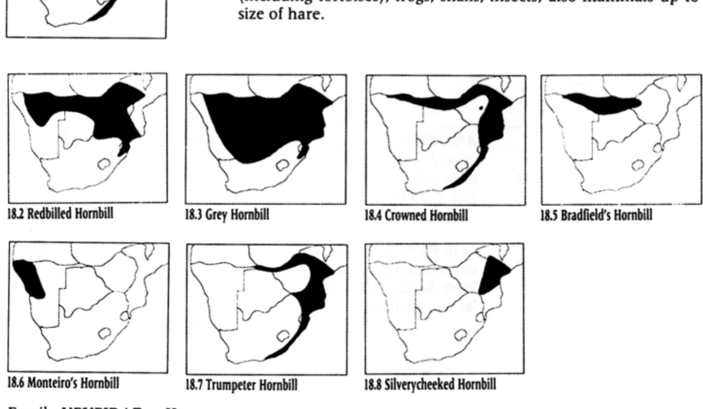 Upupa epops Hoopoe Hoephoep  18.3  A medium-sized bird, with head, back and underparts bright rufous O' or dull rufous 2. Wings boldly barred black-and-white or cream. Tail black, white at base. Bill long and thin. Pointed crest can be erected into fan shape when alarmed. TL 25-27 cm. Mass 57 g. Spoor: Not recorded. Habitat: Savanna, open woodland, Kalahari thornveld, riverine woodland in arid areas, gardens, parks. Habits: Usually solitary or in pairs, sometimes in small 