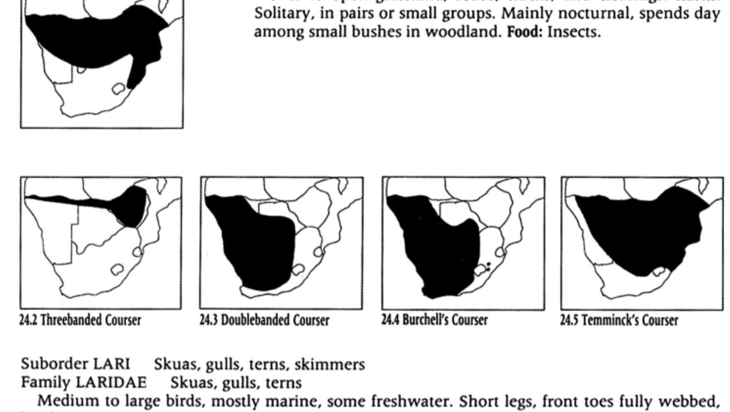~ Small to medium-sized birds with long legs and short toes, hind-toe absent. Most species have a basal web between the middle and outer toe. Their wings are long and pointed. They are solitary gregarious, or occur in small flocks. Inhabit open places such as large rivers, grasslands, deserts savanna. They are partly or wholly crepuscular. Cursorial feeders, feeding mainly on insects anc some seeds. This subfamily is represented by 5 species in southern Africa. 