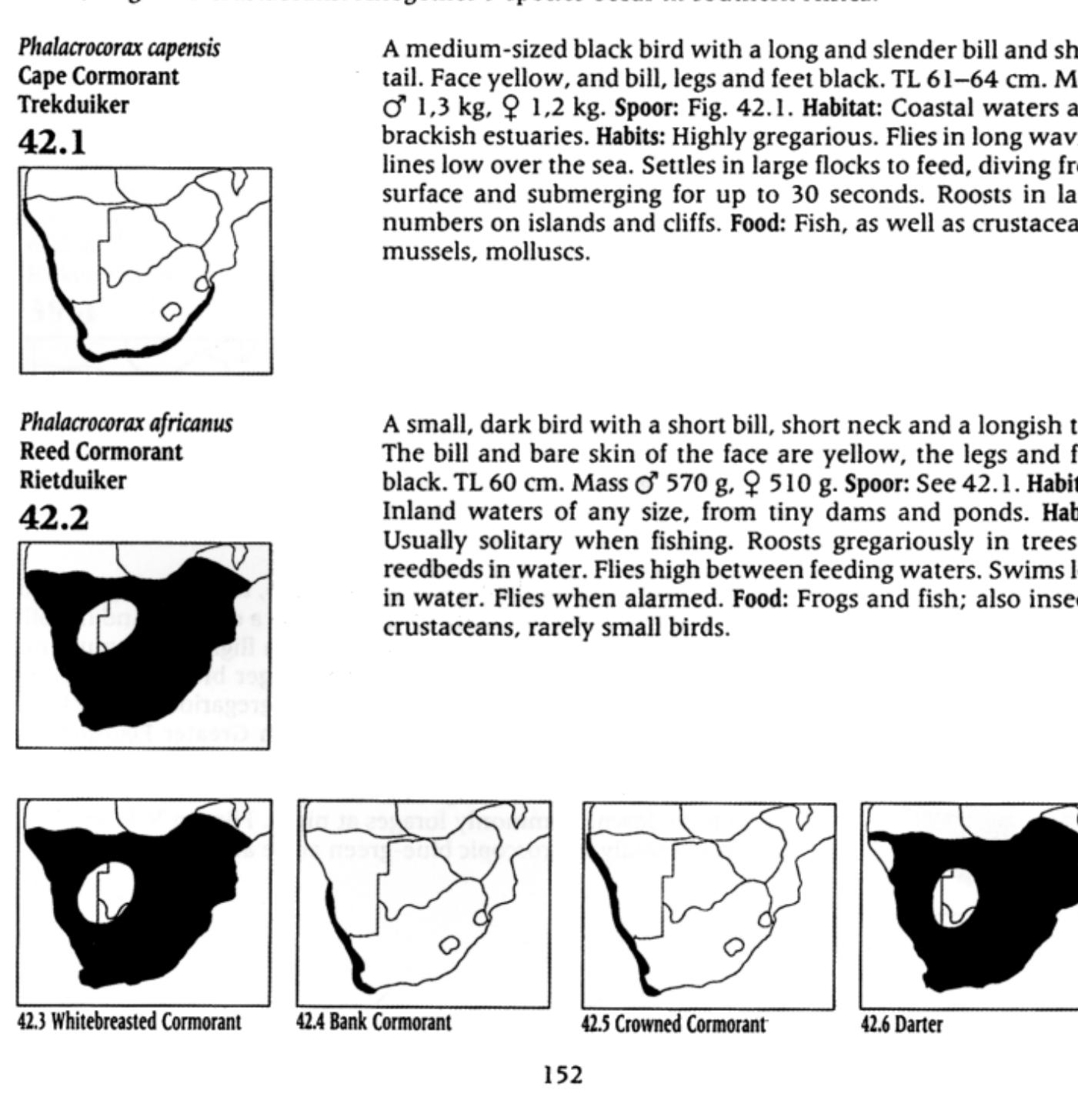 A large, very tall, long-legged and long-necked bird, the body appears white at a distance and the bill very pale with black tip. Conspicuous flame-red wing in flight, with feathers black. TL about 1,4 m. Mass "4 kg, 9 3 kg. Spoor: Fig. 41.2. Habitat: Large bodies of shallow water, both inland and coastal. Prefers saline and brackish waters. Habits: Highly gregarious, flocks often numbering hundreds of birds, sometimes mixed with Lesser Flamingoes. Feeds by wading with bill upside down in water, filtering out small organisms. May stir mud with foot. Swims well in deep water. Flies in V-formation. Food: Small aquatic inverte- brates, detritus, microscopic algae. 