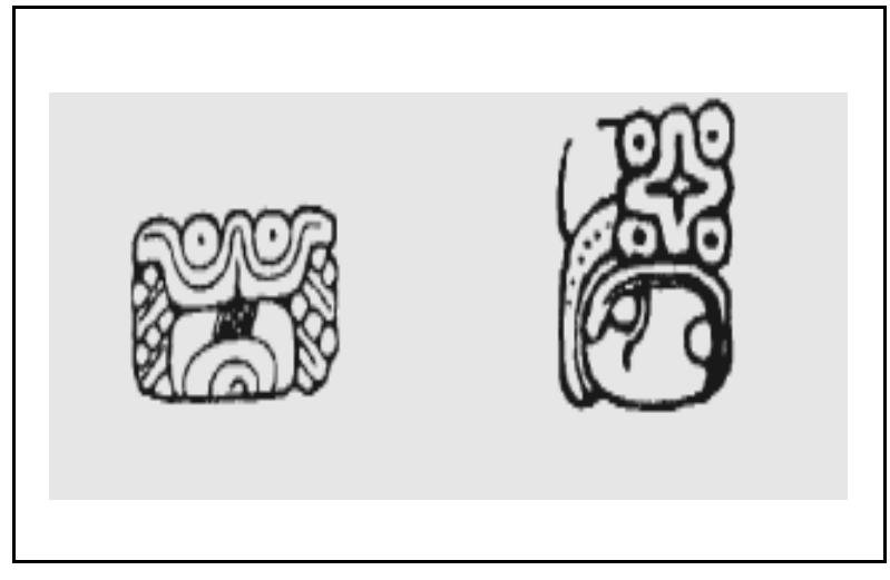 Shell Symbol Mayan Math (PDF) The Venus