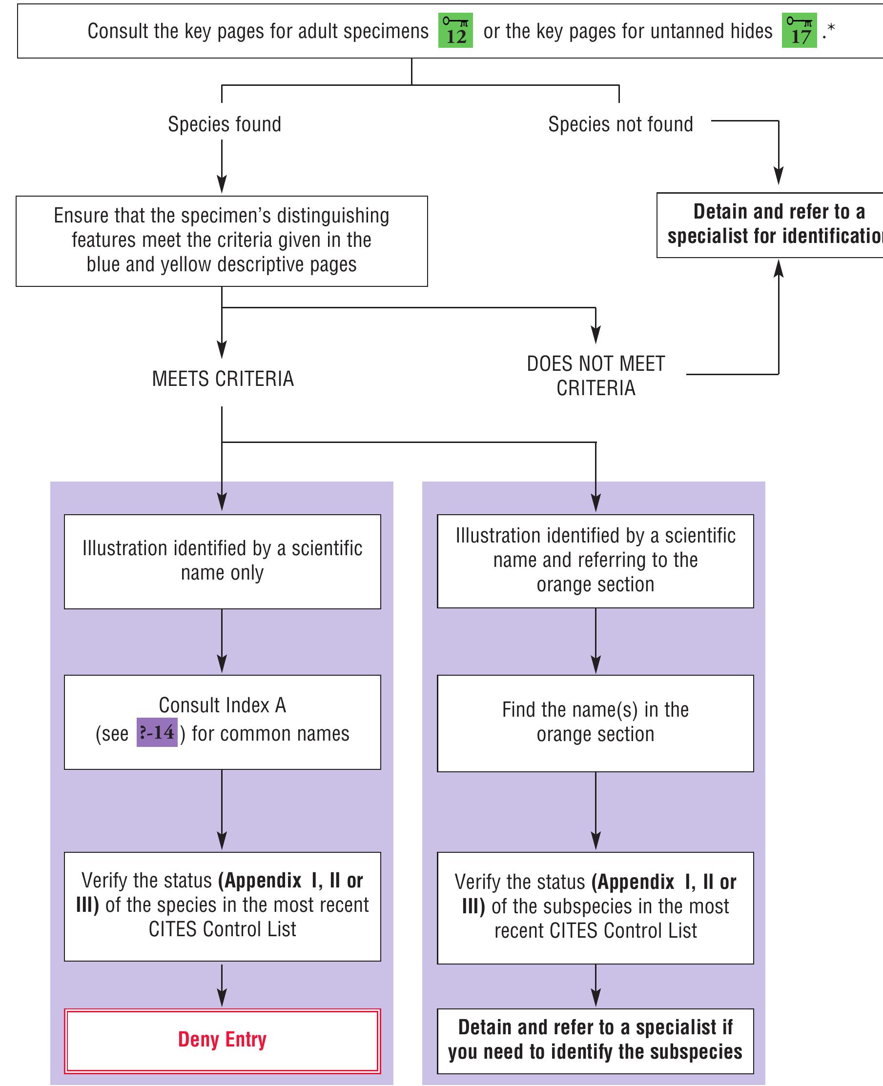 (PDF) CITES-Identification-Guide---Crocodilians