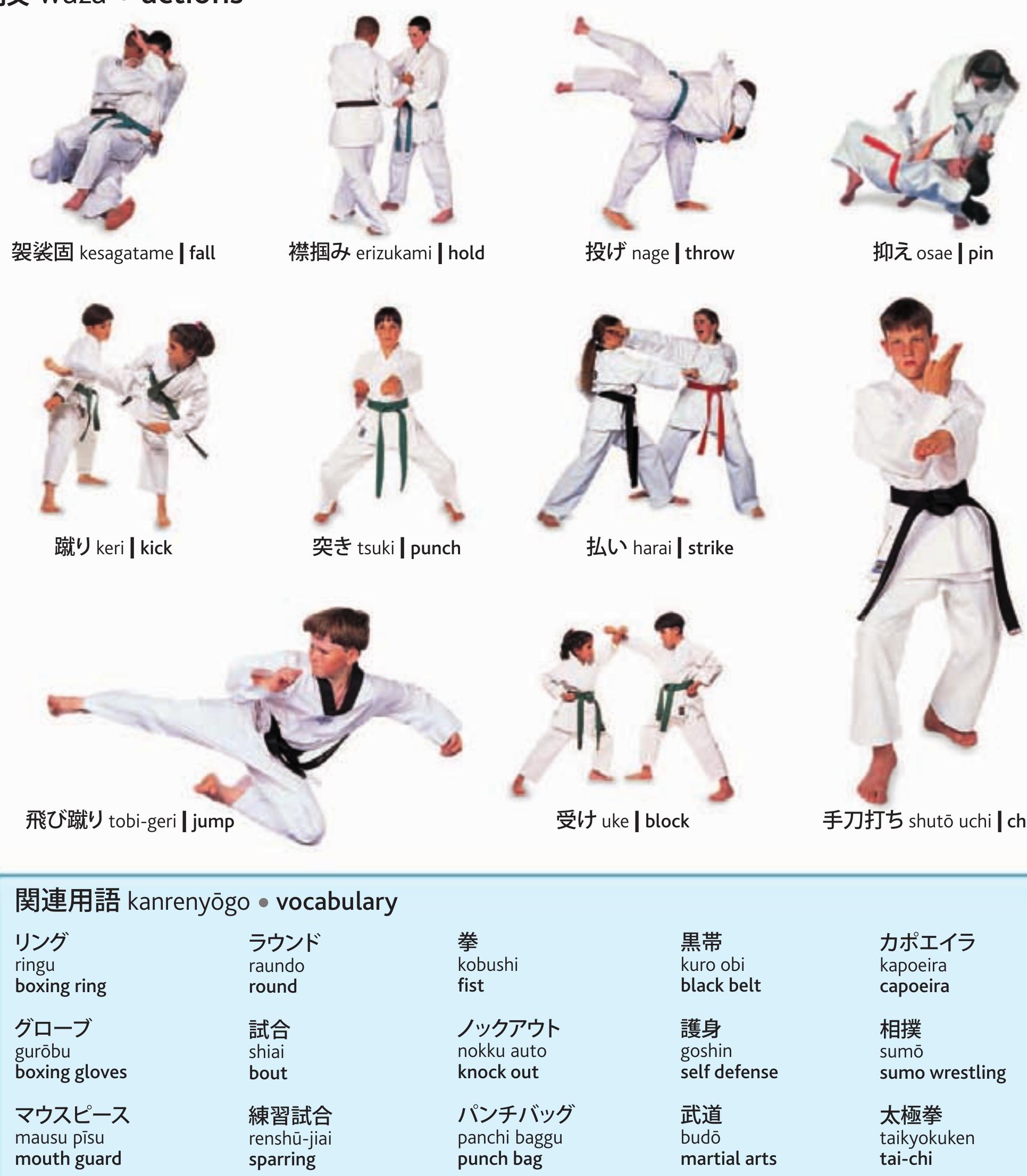 Figure 227