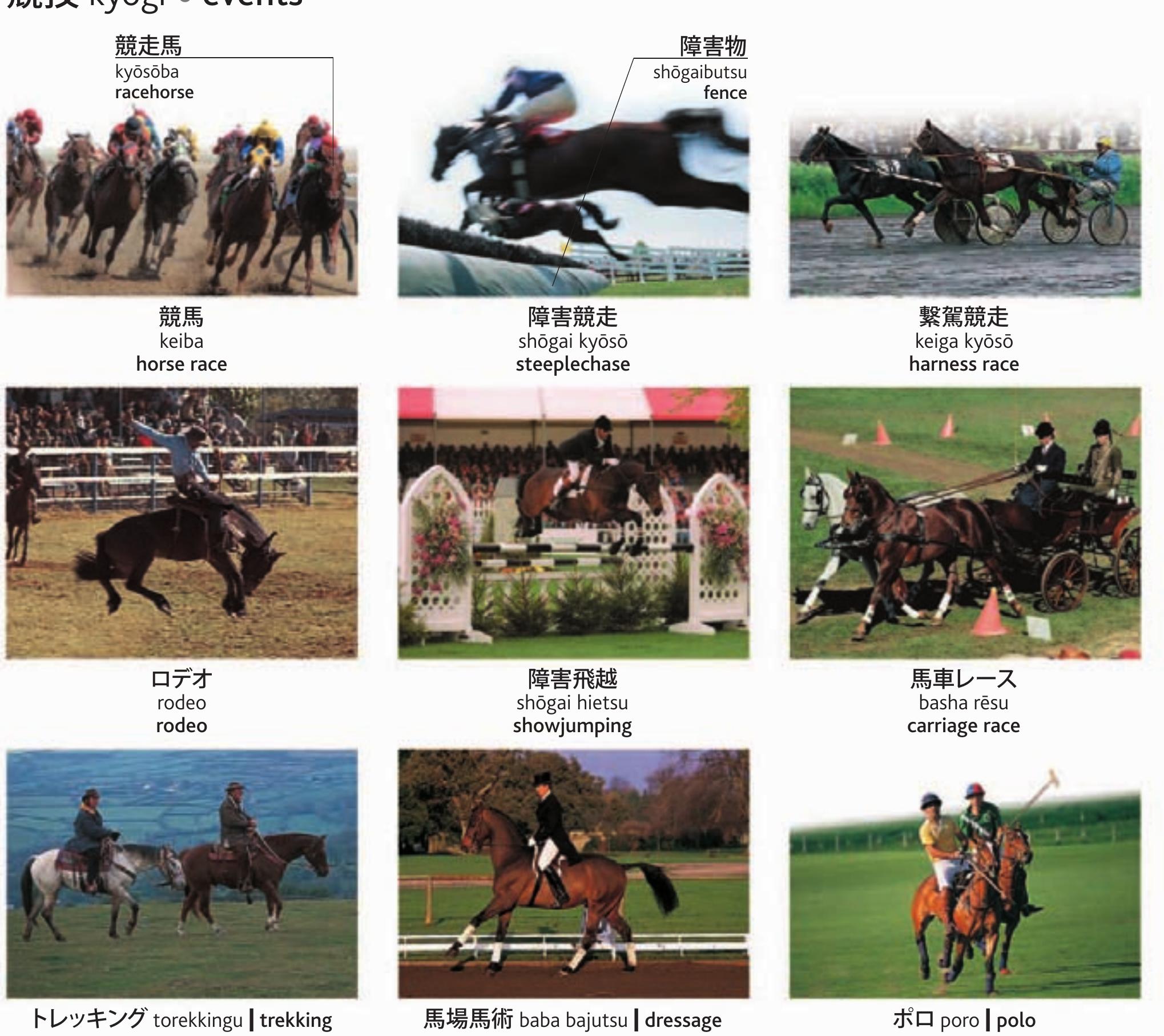 Figure 234 japanese english bilingual visual dictionary