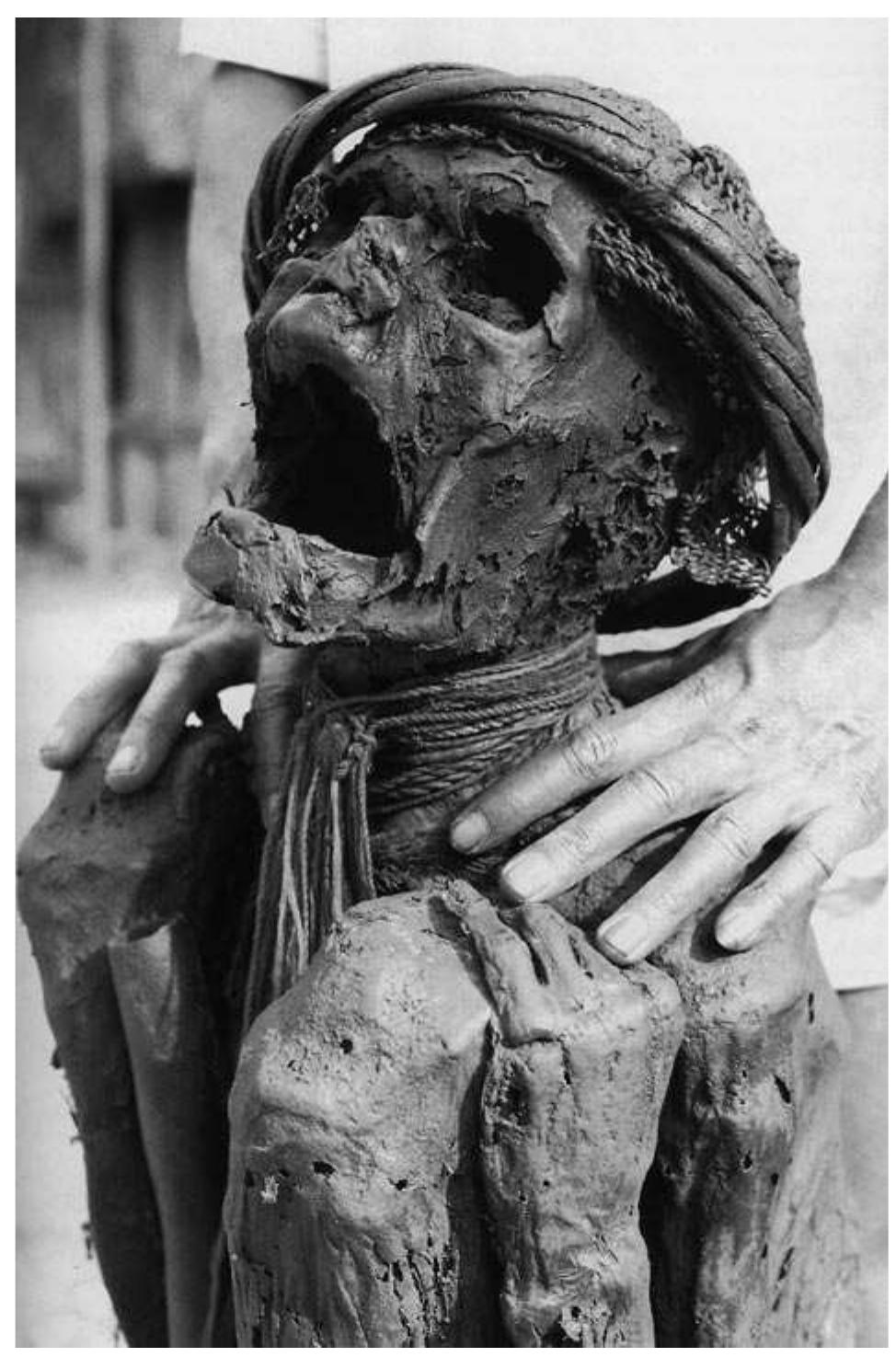 Scheme of procession steps within a production sphere as an