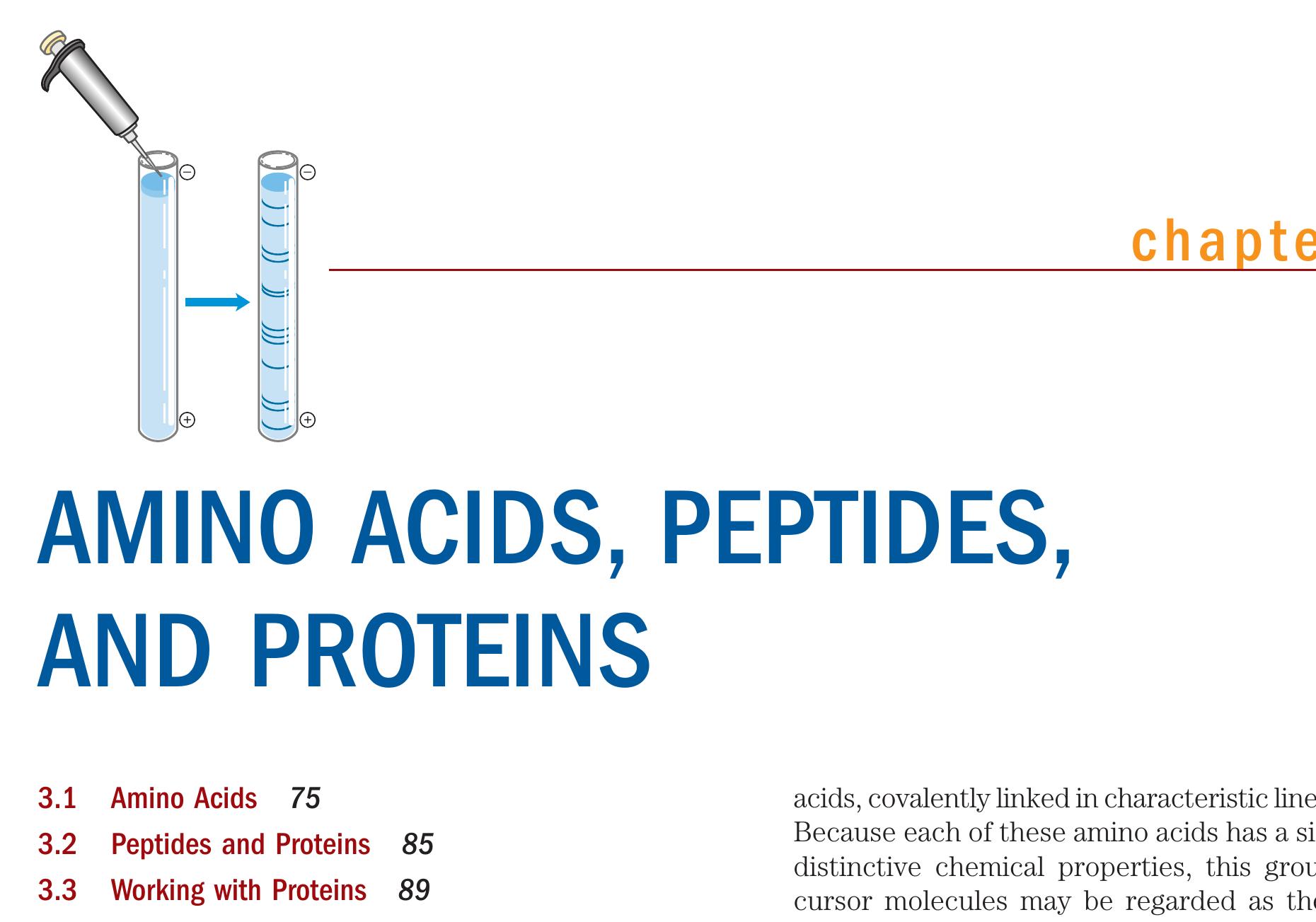 Amino Acids and Peptides Barrett， G Structural and functional determination of peptide versus