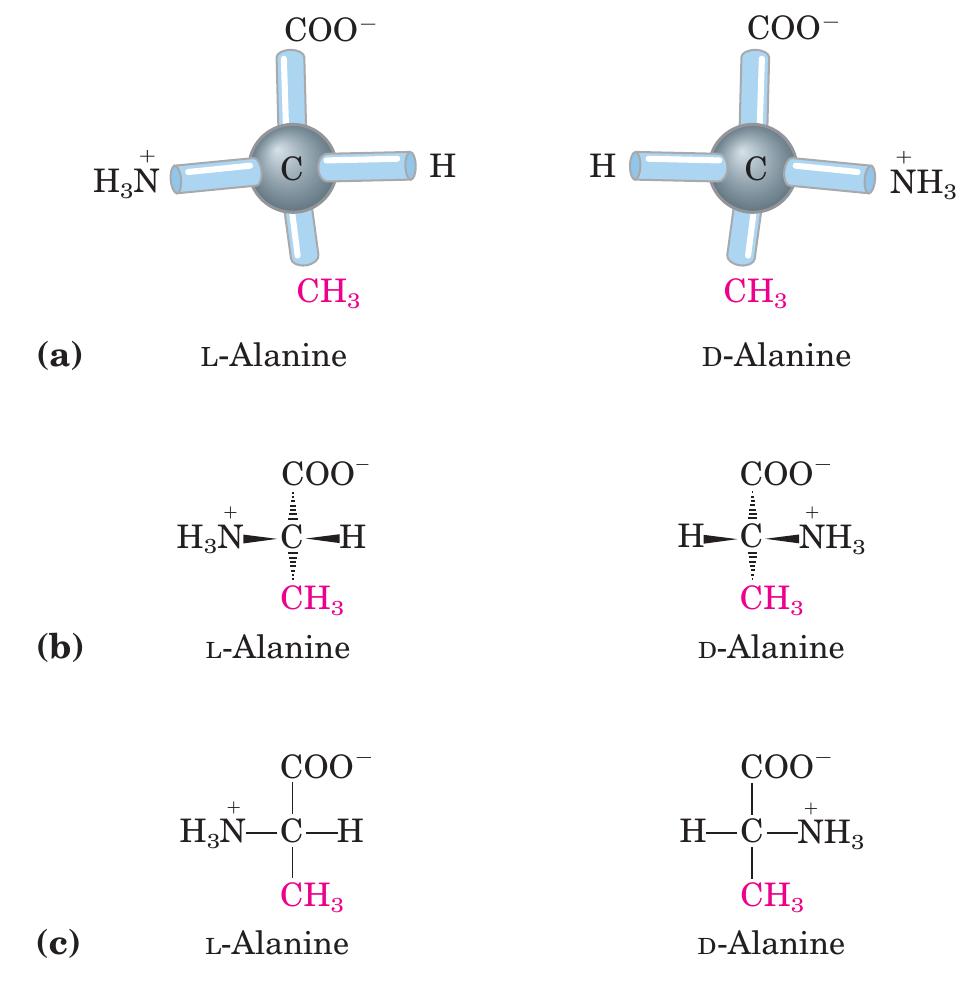 PDF) Amino acid, peptides & proteins