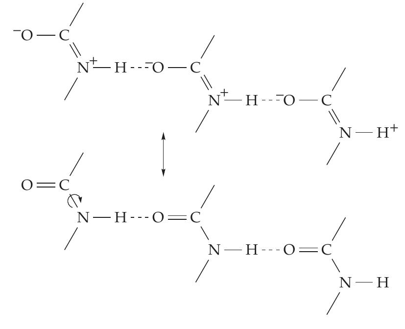 The two structures pictured are extreme forms, the true