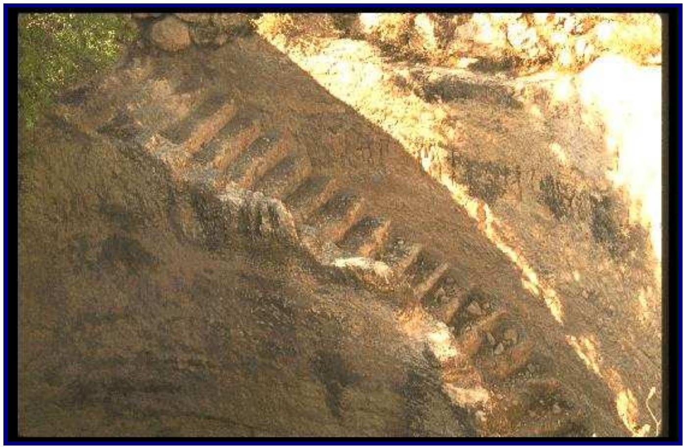 Figure 11 - from Syro-Palestine in the First Millenium BCE:
