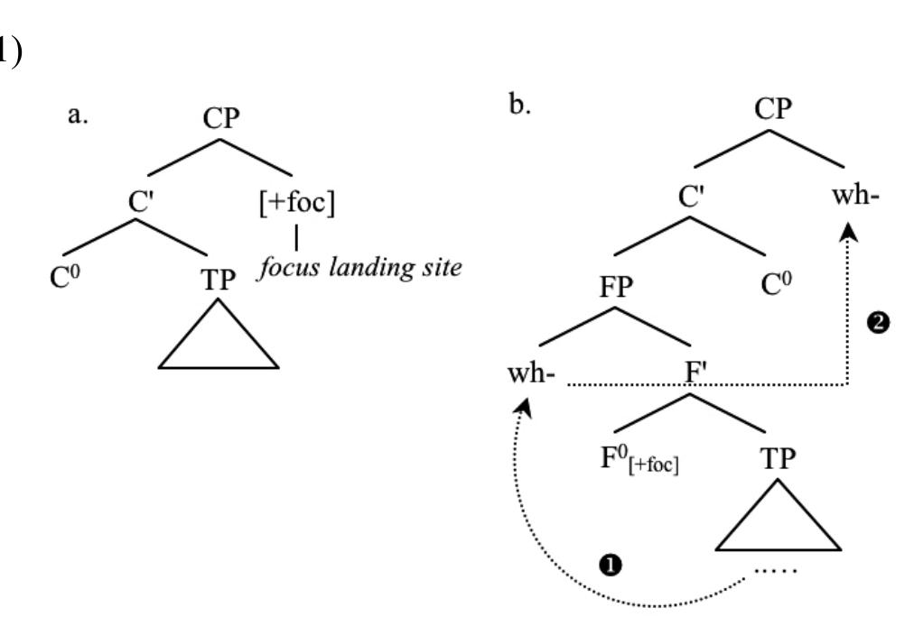 that focused wh-phrases first stop at Spec,FP to check the [+focus] feature of F’ (step 1) before moving to Spec,CP (step 2). 