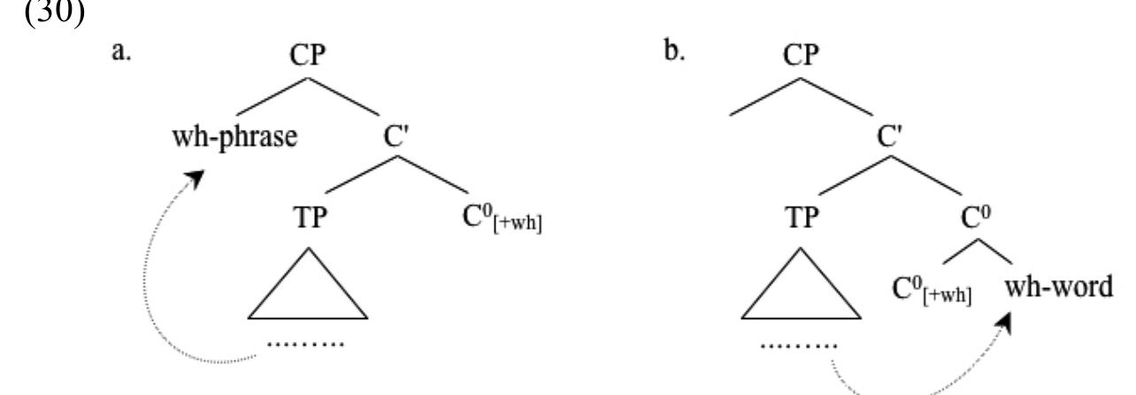 (30a-b) can account for TID wh-movement facts we have seen so far. For example, in (14b)-(17b) wh-elements are all wh-phrases undergoing movement to Spec,CP, representing the configuration in (30a). On the other hand, sentences in (14c)-(16c) have the CP configuration seen in (30b), which includes adjunction of rightward moved wh-words to C°. Wh-duplication data seen in the remaining examples of TID can also be accounted for by (30a-b). In these examples we saw that no duplication on the left is allowed (see 23c, 24b-26b) because due to linearization facts just discussed duplication must include fusion with C°, which is possible only for rightward moved wh-elements (see 23a-26a).  Finally, let us consider another wh-duplication structure which  anelidac cimiultananic arrirrance af wh. clamanta at Aath aedaoac anf tha   Reduction so they both cannot survive. Hence, we argue for a CP structur for TID where C° is positioned on the right and its Spec is on the left. compliance with the generalization on wh-movement in (22), TID wh phrases undergo movement to the left, i.e., Spec,CP, while wh-words nee« to occur on the right, adjoined to and optionally fused with C°. Thus regarding wh-movement, we suggest that the [+wh] feature of C° can bi checked in either one of the CP configurations depicted below: 