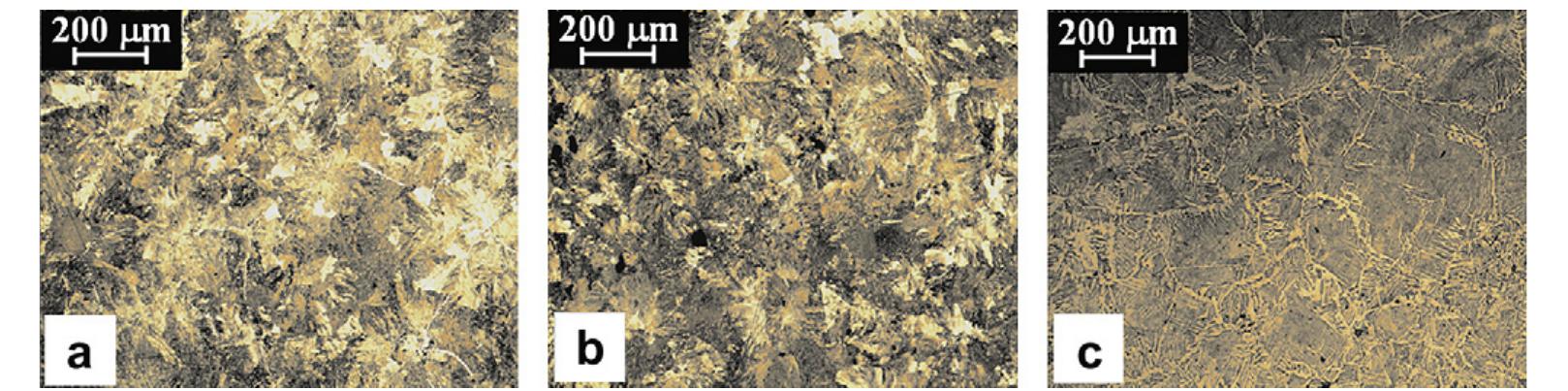 Light microscope images from zone b of anchor a, showing an