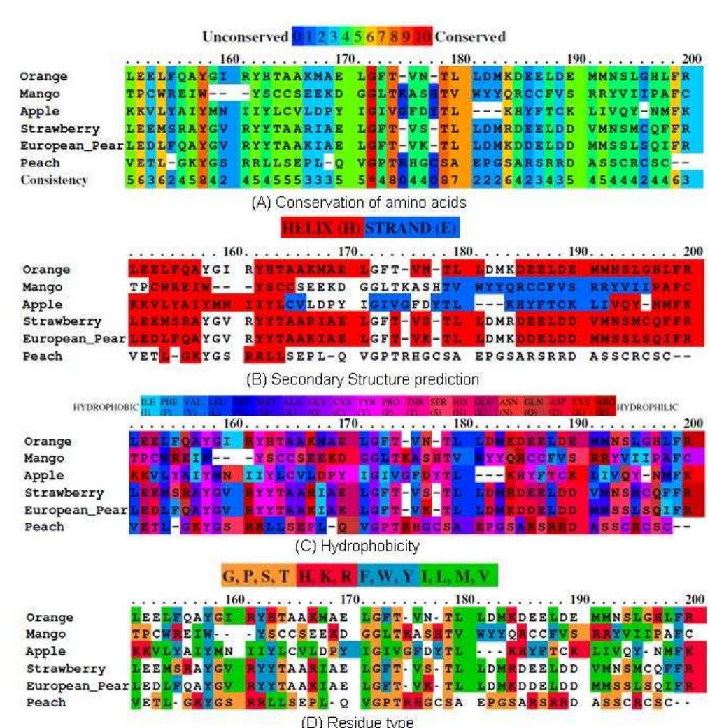 (PDF) PRALINE, A Protein Multiple Sequence Alignment Tool: User ...
