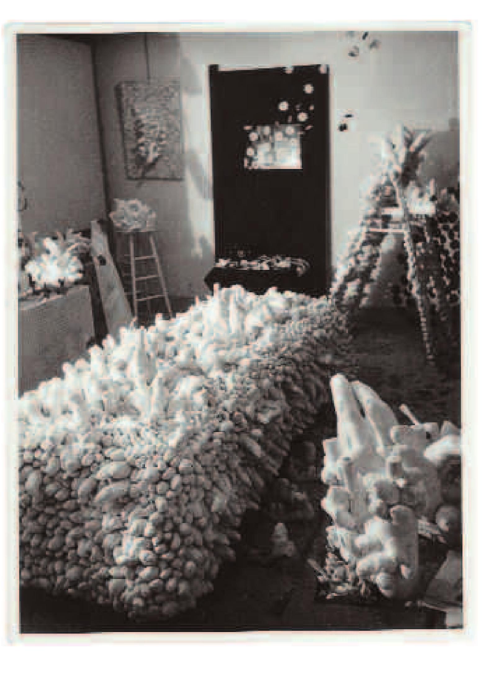 洋書）Midori Yamamura, Yayoi Kusama, 2015. 68fdf3d6ff30f881a0fbb58b636734