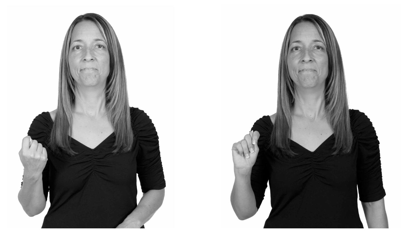 (PDF) The Acquisition of Sign Language by Deaf Children with Autism ...