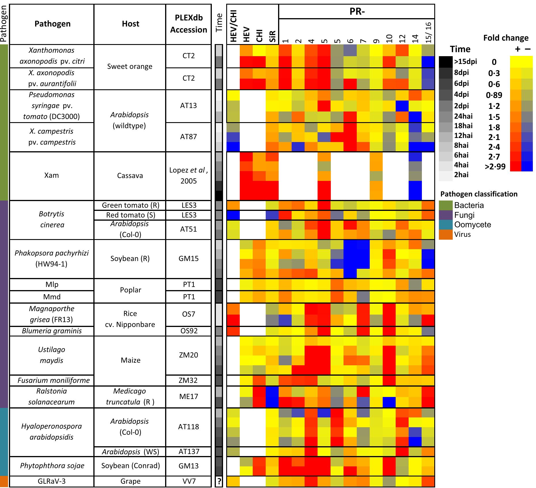 Patho Systems Heat map of gene expression of cassava pr protein