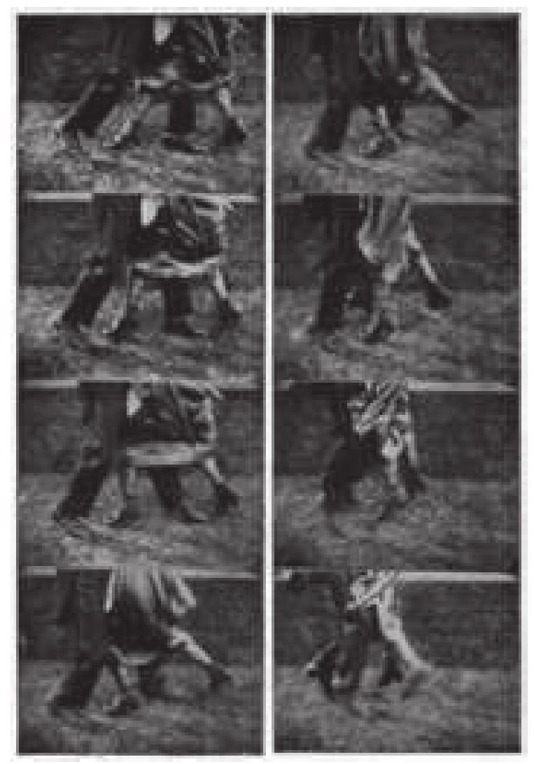 PDF) Technology's Pulse (2011/12), image size:763x1092