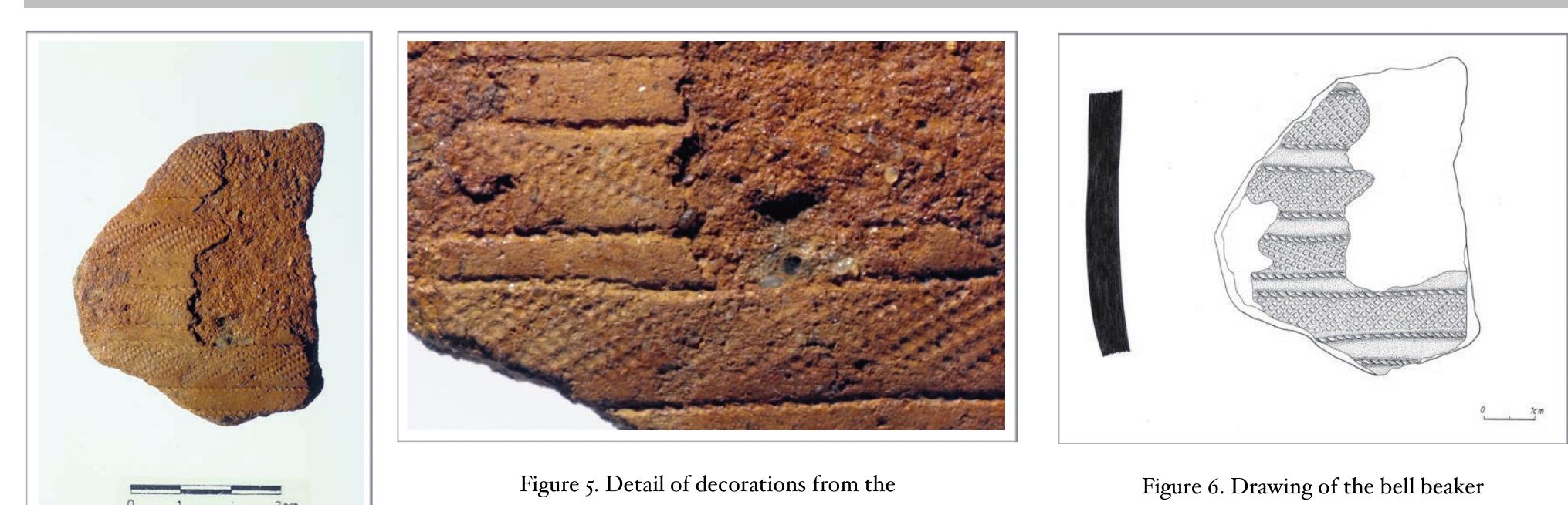 Figure 4. The bell beaker sherd of Forca (by Manuel Santos/D. Diogo de Sousa Museum, Braga)