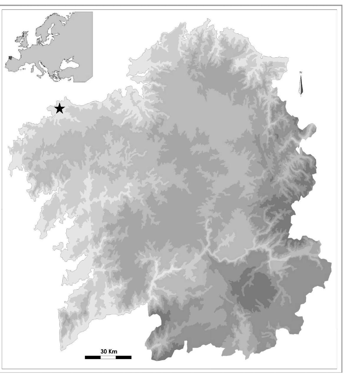millennium BC, and has been used sporadically until