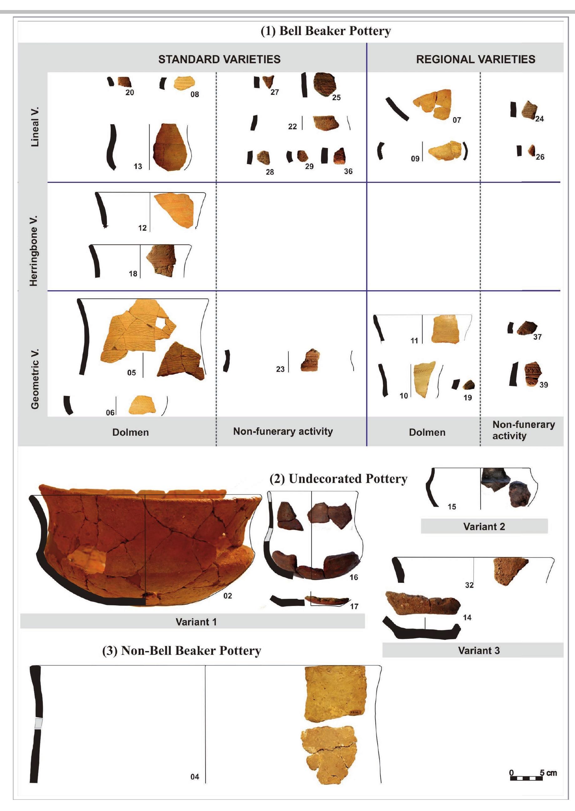 Figure 3. Pottery designs documented in the area of Dombate, organised according to a basic classification of categories (decorated bell beaker pottery, undecorated and decorated non-bell beaker pottery) and their variations