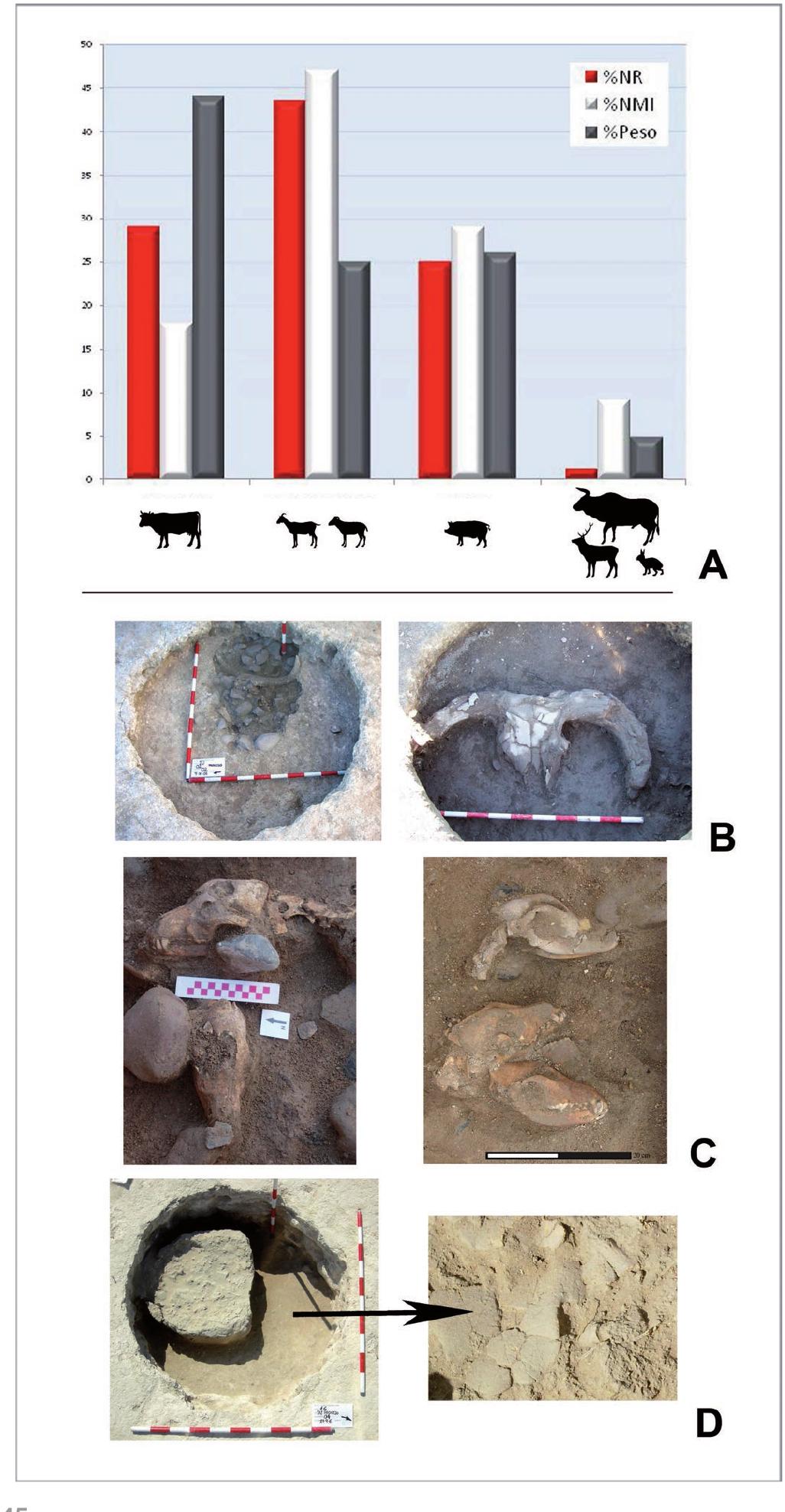 fauna. The studies comprise mammals birds, turtles
