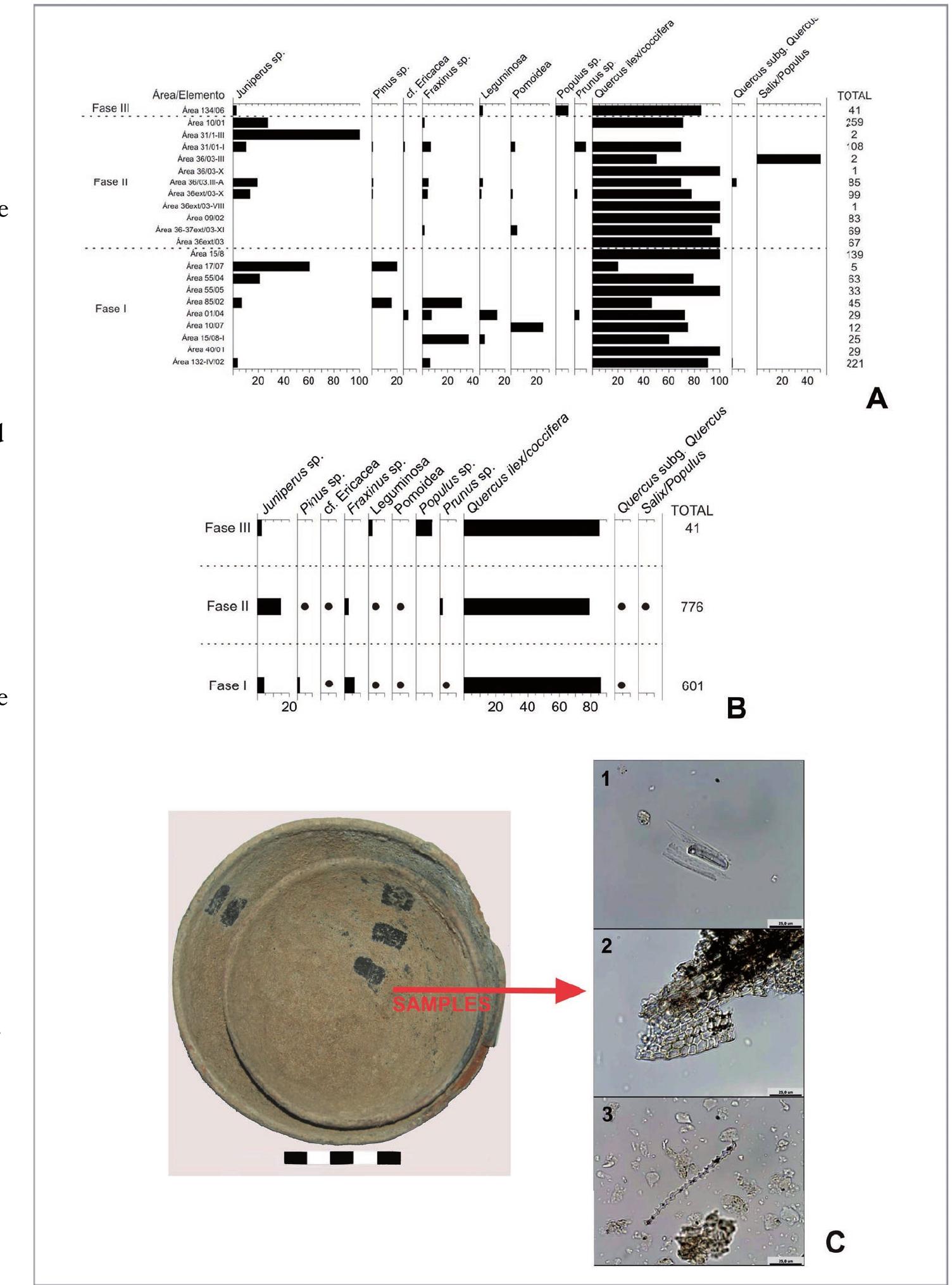resources from stagnant water environments and slow bird remains, along with an interesting assemblage of funerary contexts (Figure 3C). The presence of certain