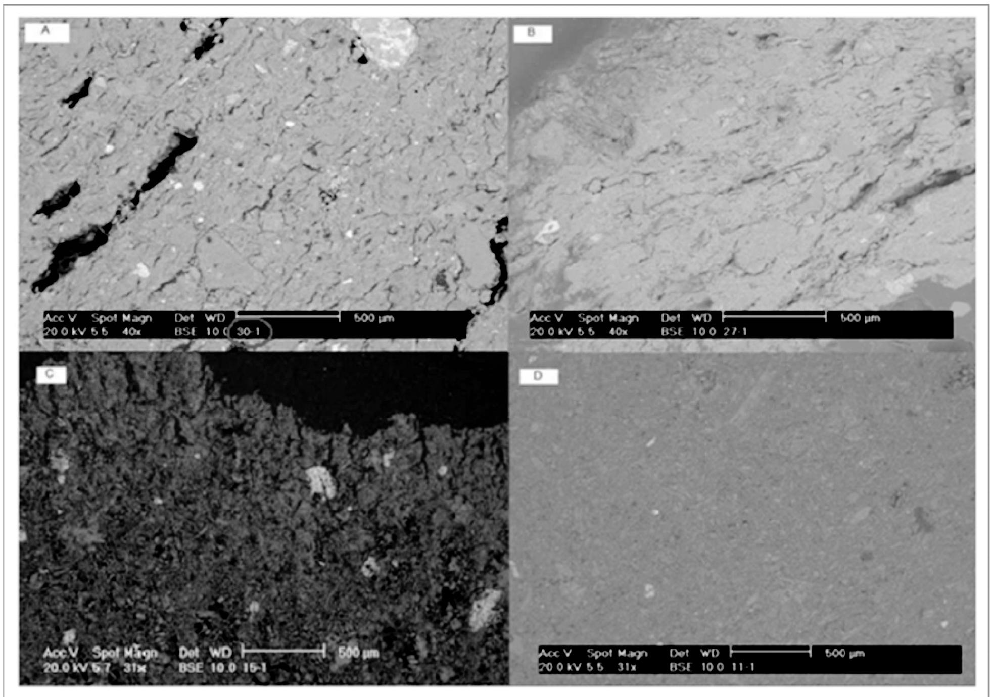 Figure 3. Differences between the clays in a cross-section of bell beaker pottery (A, B, and C) compared to a fragment of grooved ware (D), using SEM. The red circle shows the study number of the piece used the mountain range of Sierra/Cascais as the area where