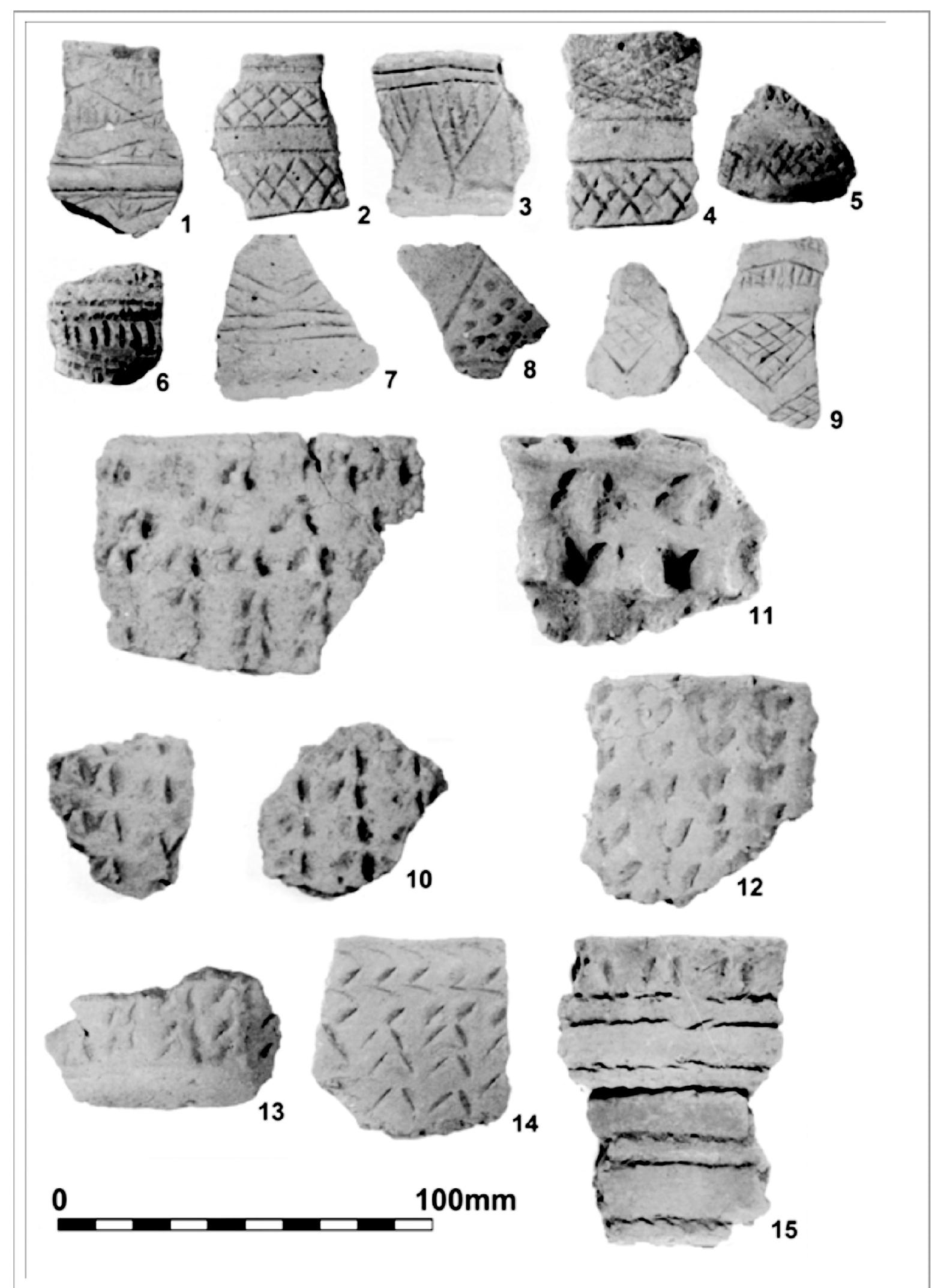 incised triangular may be reminiscent of Later Figure 9. Selection of Beaker fine and coarse wares
