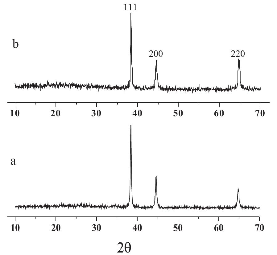 Gold Tem Diffraction Pattern Figure 3 - from Antifungal activity of gold nanoparticles