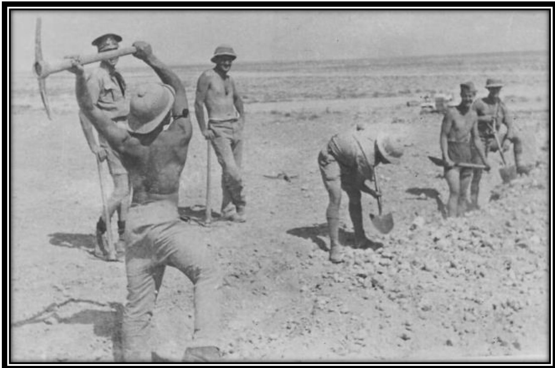 Figure 16 From Fighting Springboks
