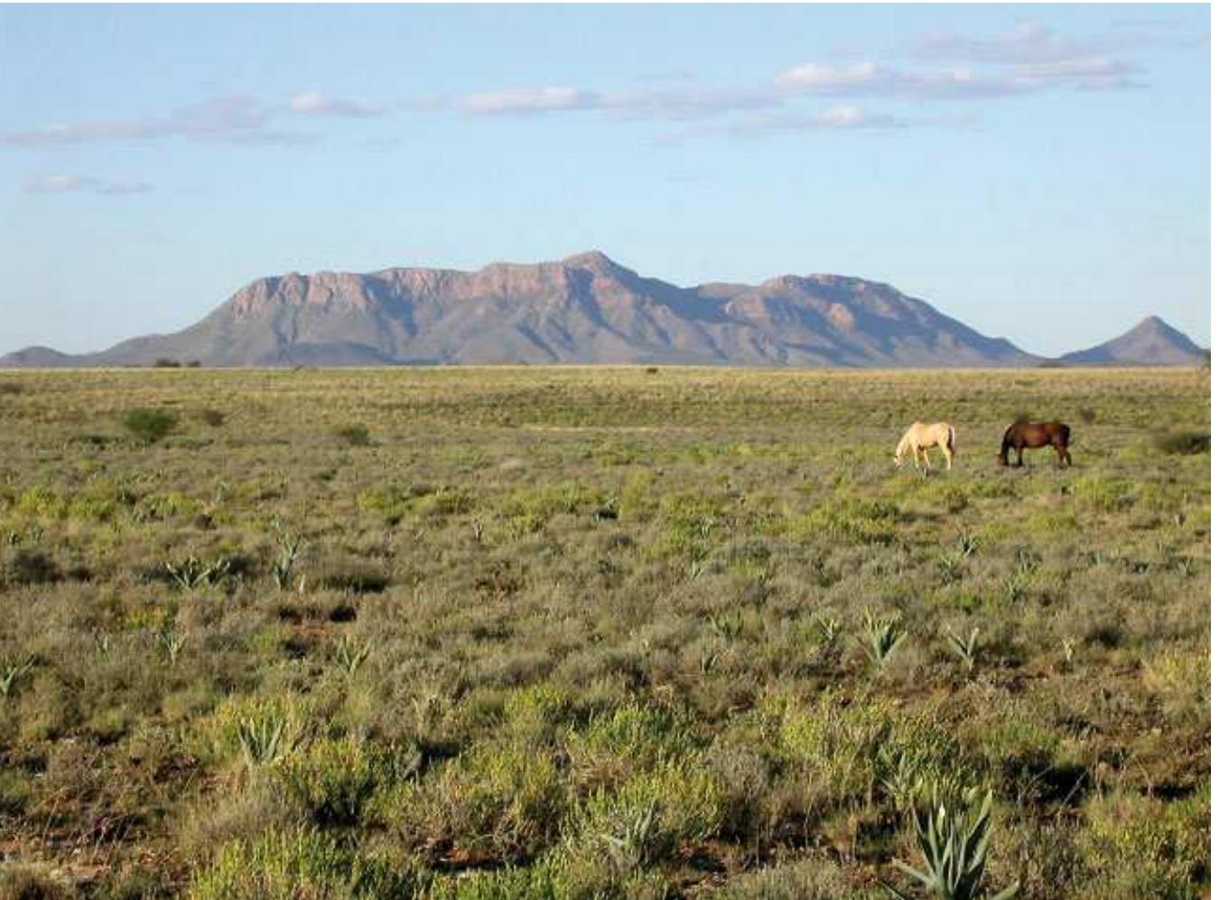 (PDF) An ecological-economic analysis of the pastoral systems of the ...