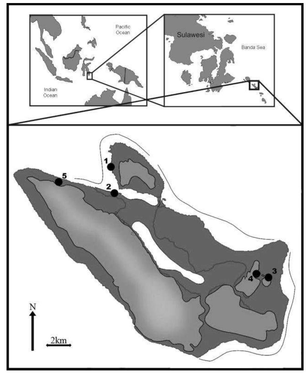 Figure 10 - from Marine research and conservation in the
