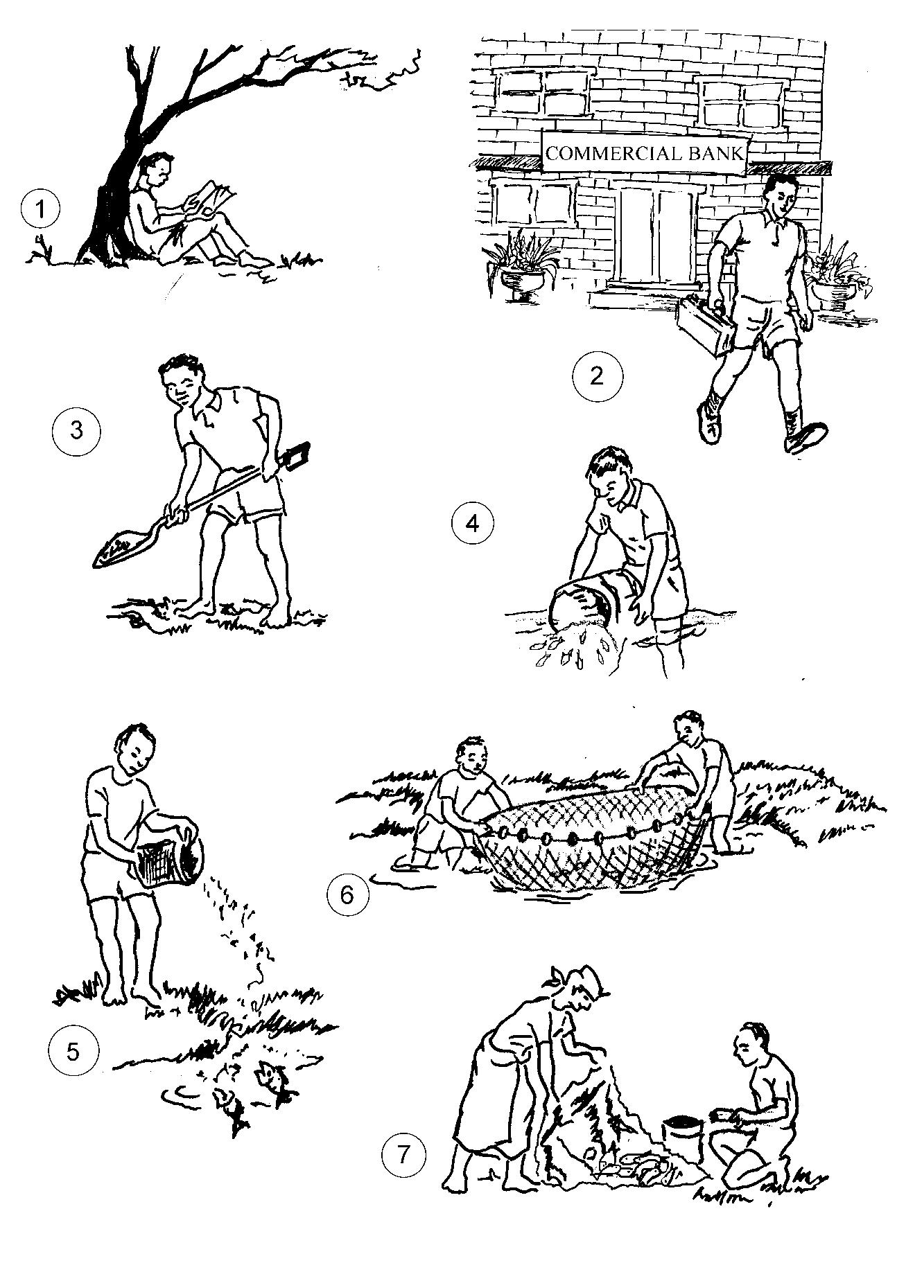 Picture of Figure 22 - Small-scale freshwater fish farming