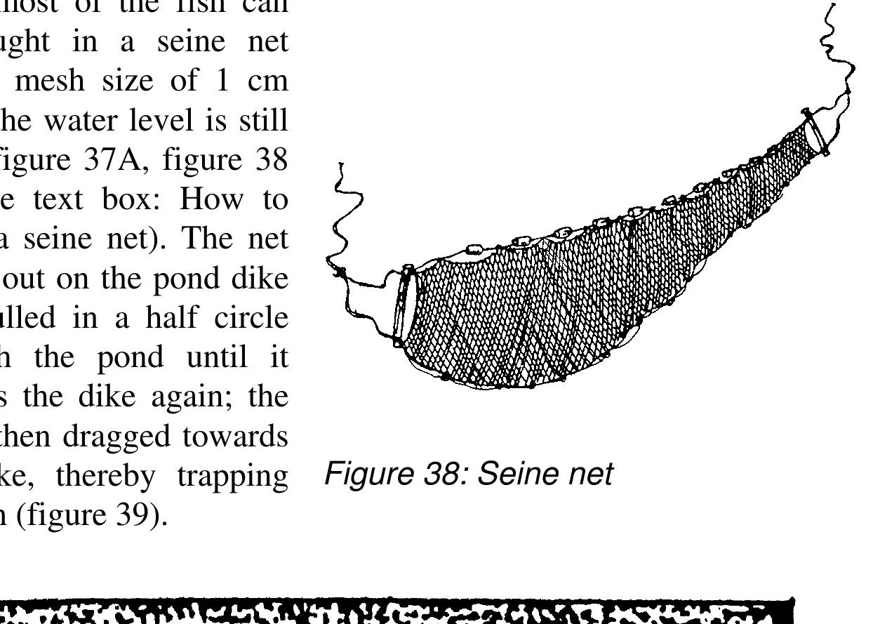 View of Figure 35 - Small-scale freshwater fish farming