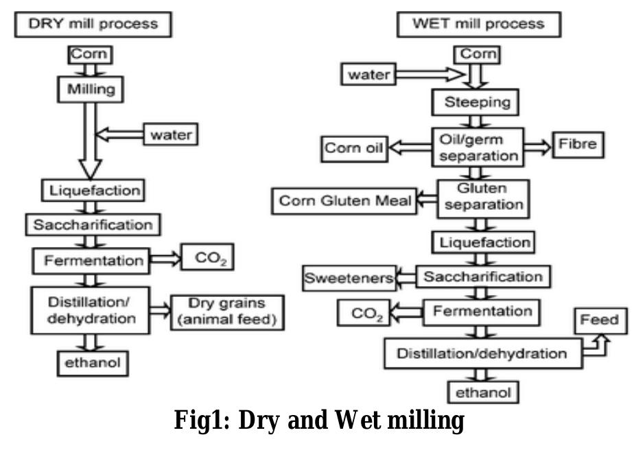 (PDF) A Review of Production of Ethanol from Corn.