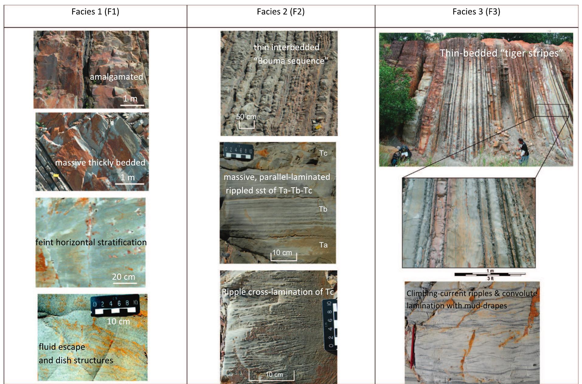 Tabulation of the main sedimentary facies types within the