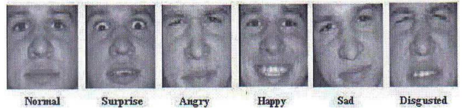 (PDF) EMOTIONS THAT INFLUENCE PURCHASE DECISIONS AND THEIR ELECTRONIC ...