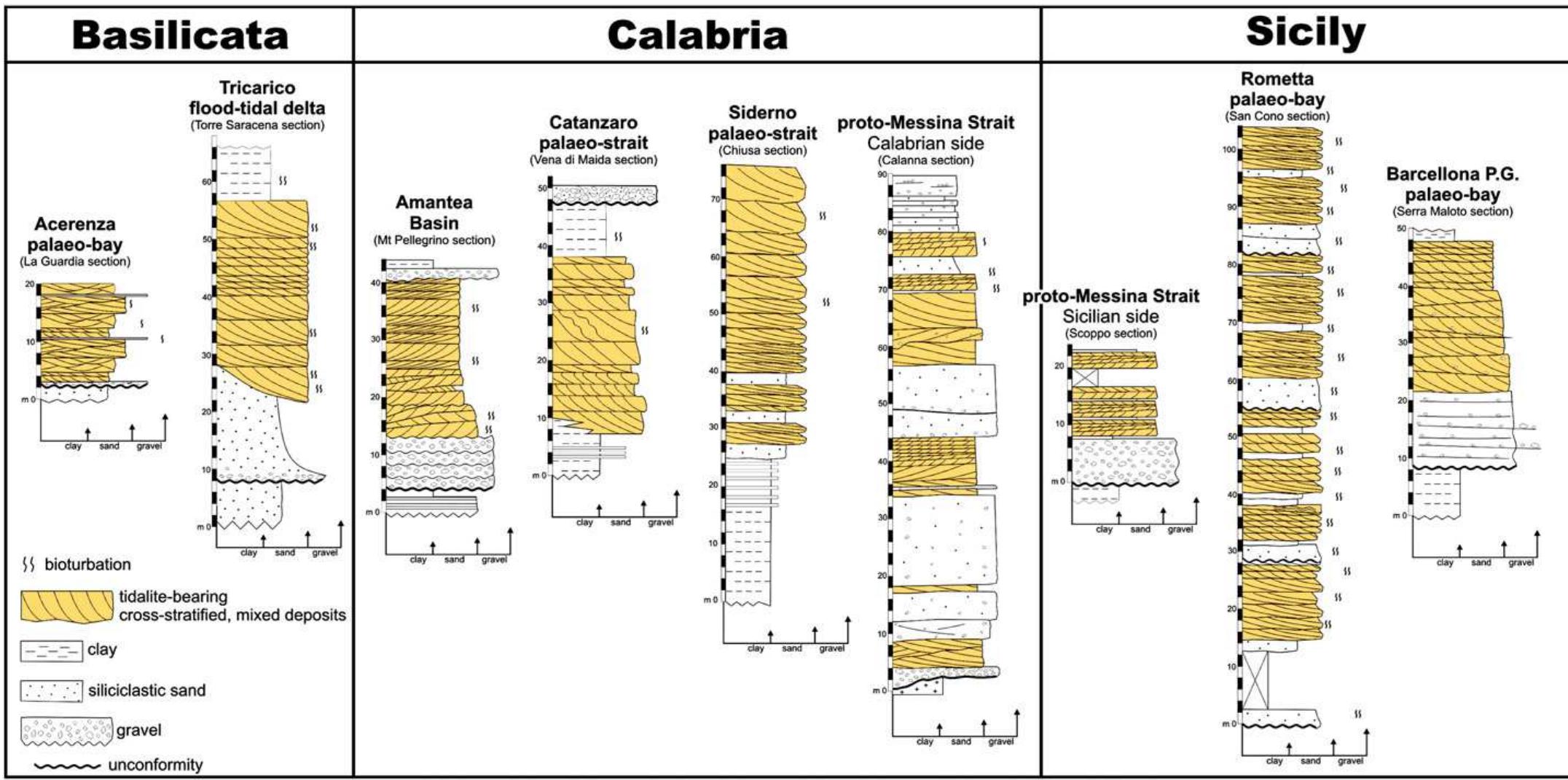 Sedimentological logs of the stratigraphic sections studied