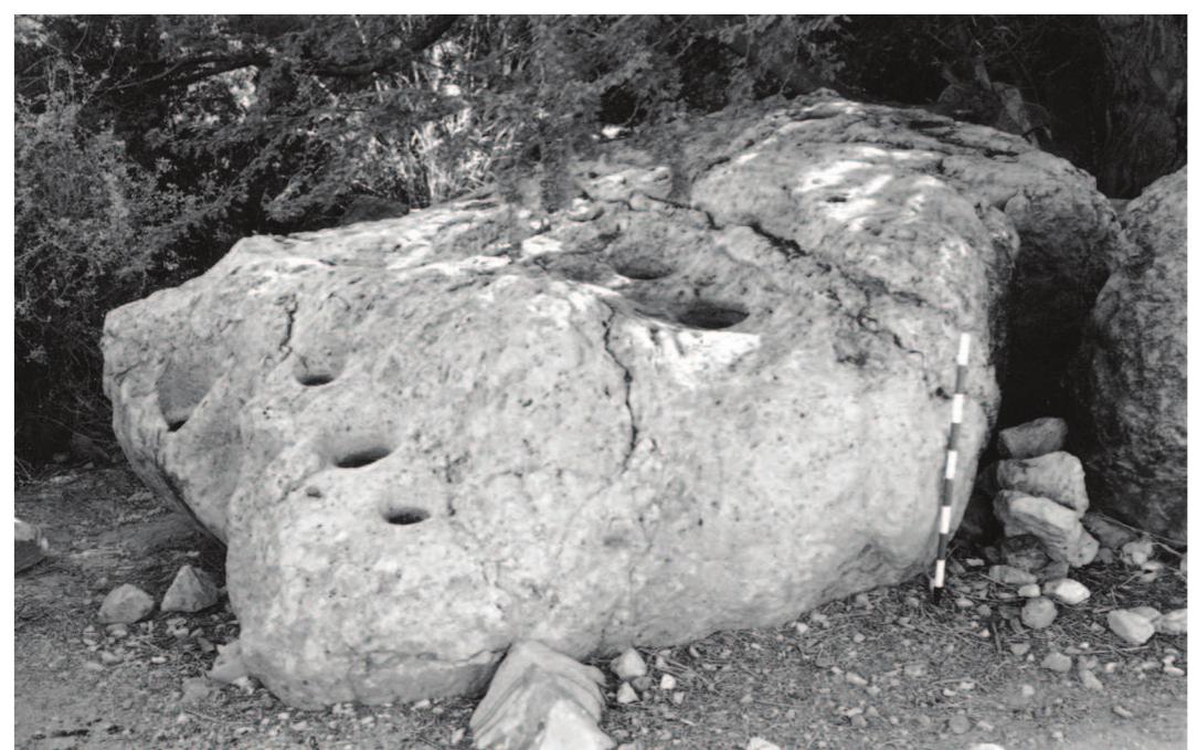 Figure 14. Cup marks carved on a rock near the Ein Gedi spring. Photograph by D. Ussishkin, courtesy of the Israel Exploration Society, Jerusalem. Figure 15. Cornets found in pits at the sides of the sanctuary. Photograph courtesy of the Israel Exploration Society, Jerusalem.   The above scenario associating the Nahal Mishmar hoard with the Ein Gedi temple has been debated in various schol- arly studies during the last fifty years. While some scholars ac- cepted it as the most conclusive explanation (e.g., Epstein 1978. 26; Aharoni 1982; Coogan 1987, 3-4; Mazar 1990, 68, 75), othe scholars raised different theories to explain the origin and func- tion of the hoard. 