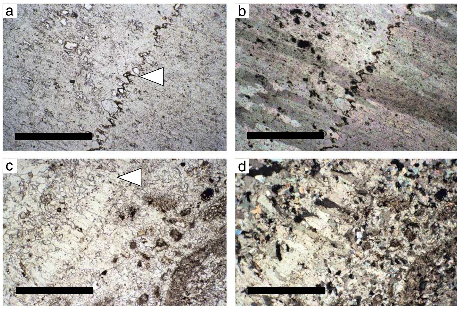 (PDF) Reconstructing a Miocene pitfall trap: recognition and ...