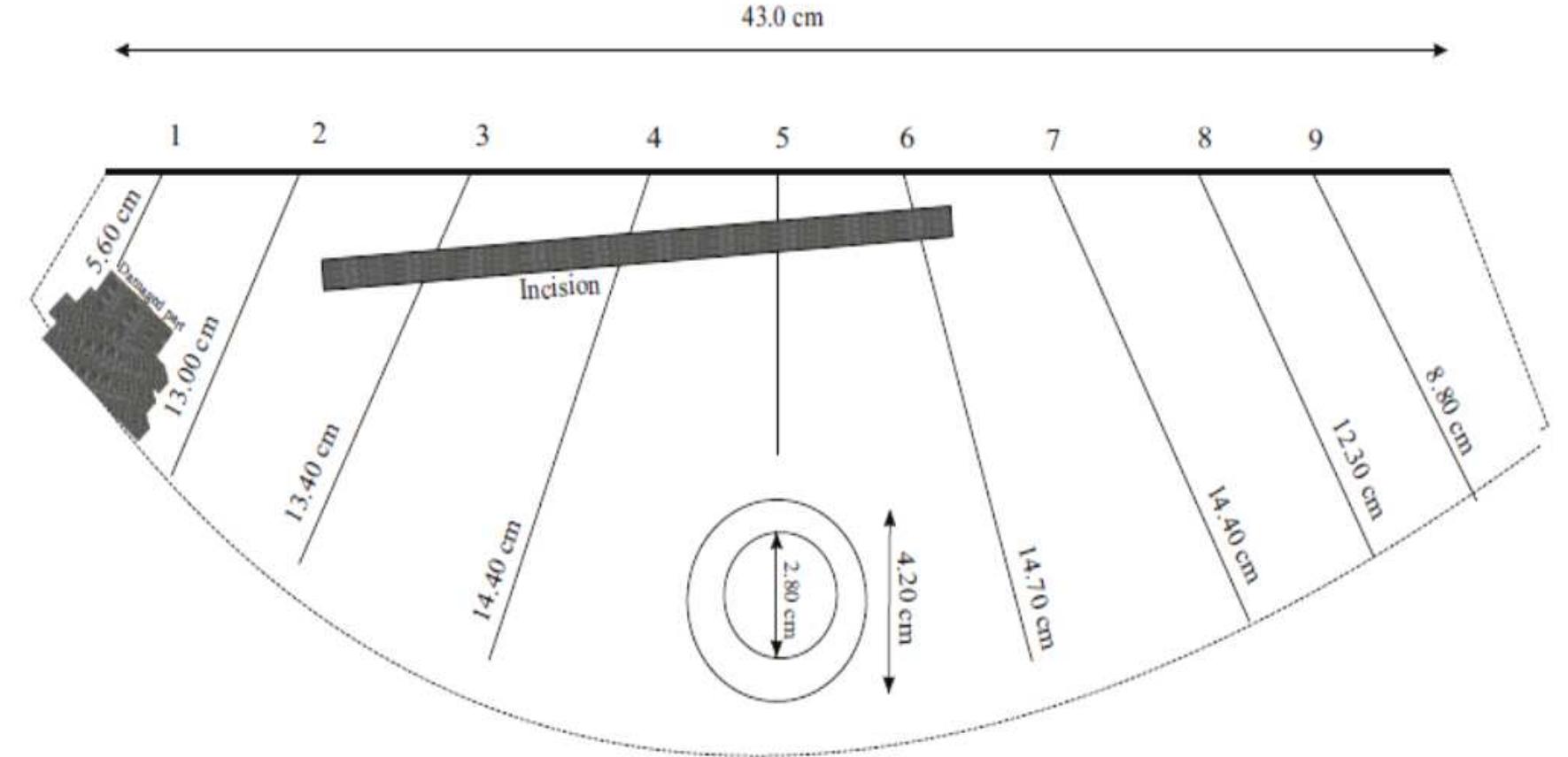 Figure 10 - from The Paramythia Clock Tower An Ancient