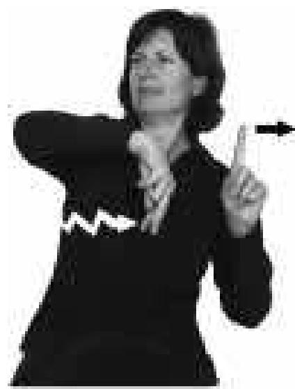 Figure 15 - The Paradox of Sign Language Morphology