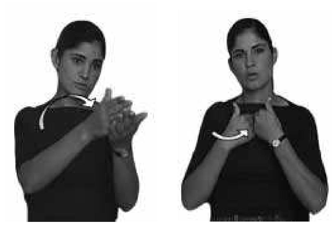 Figure 15 - The Paradox of Sign Language Morphology