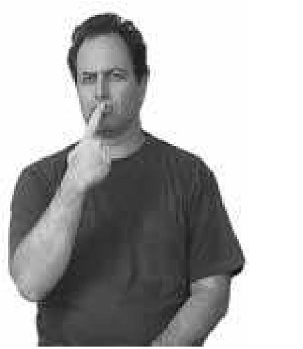 Figure 16 - The Paradox of Sign Language Morphology