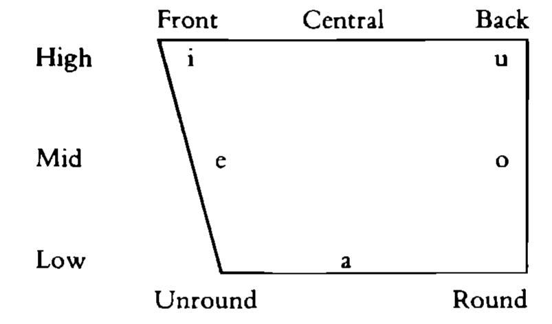 Front Rounded Vowels (PDF) An Introduction to Phonology Francis Katamba