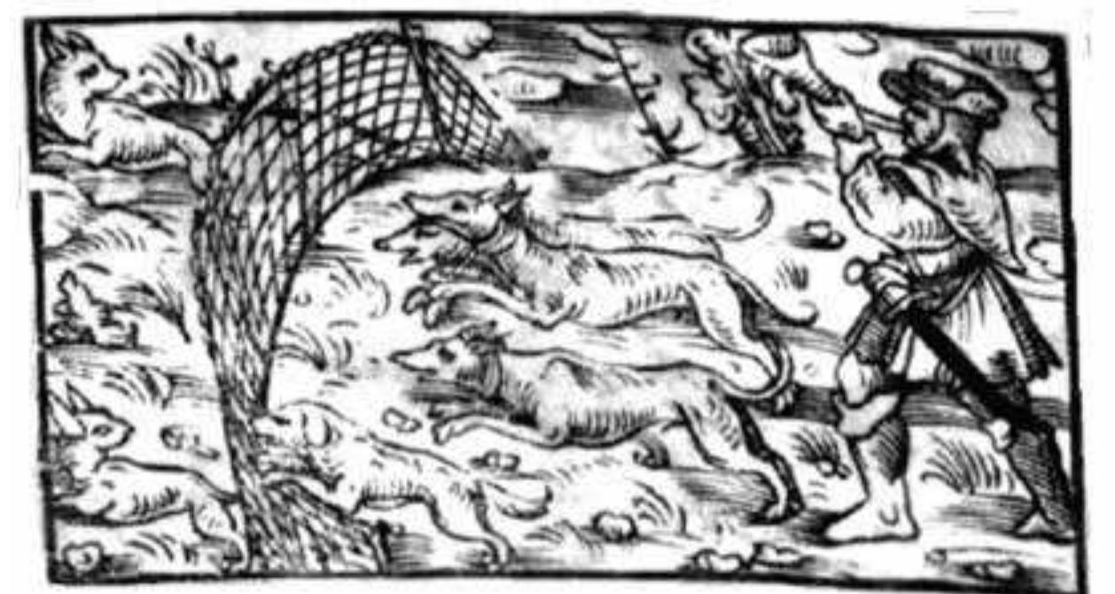 Ficure 10. Haggadah shel Pessah, Augsburg: Hayyim b. David Shahor, 1534. 